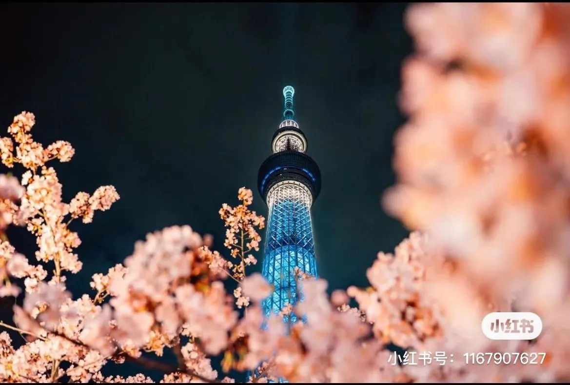 Sky House晴空塔 双人间1 带独立厕所 共用浴室 Apartment Tokyo