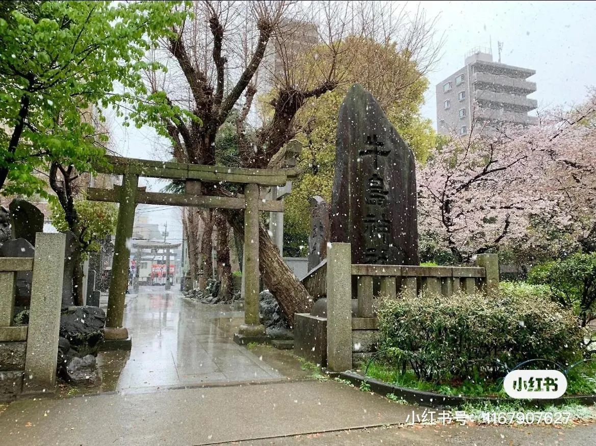 Sky House晴空塔 双人间1 带独立厕所 共用浴室 Apartment Tokyo Japan